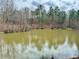 Scenic view of the pond reflecting the surrounding trees, creating a serene natural setting at 89 Paces Lakes Pt, Dallas, GA 30157