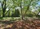 Expansive grassy backyard offers plenty of space for recreation, gardening, and outdoor enjoyment with mature shade trees at 5470 Chanterella Sw Ct, Lilburn, GA 30047