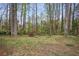 View of the backyard, featuring a private wooded lot with mature trees at 2814 Cobb Place Manor Ct, Marietta, GA 30066