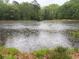 Rainy day view of the pond at 12421 Highway 36, Covington, GA 30014
