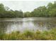 Scenic view of the pond with trees on the bank of the property on a rainy day at 12421 Highway 36, Covington, GA 30014