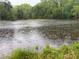 Scenic view of the pond with trees on the bank of the property on a rainy day at 12421 Highway 36, Covington, GA 30014