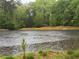 Scenic view of the pond with trees on the bank of the property on a rainy day at 12421 Highway 36, Covington, GA 30014