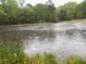 Scenic view of the pond with trees on the bank of the property on a rainy day at 12421 Highway 36, Covington, GA 30014