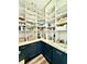 Walk-in pantry with granite countertops, blue cabinets, and plentiful shelving to maximize storage capacity at 305 Red Gate Ln, Canton, GA 30115