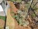 Aerial view of the landscaped yard featuring mature trees and a lush lawn at 305 Red Gate Ln, Canton, GA 30115