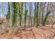 Backyard with a metal archway leading to a wooded area at 1564 Beaver Creek Lane, Snellville, GA 30078