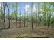 Backyard view featuring a forest at 420 Longs Peak, Johns Creek, GA 30022