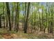 Lush wooded area surrounding the property, offering privacy and a natural setting at 420 Longs Peak, Johns Creek, GA 30022