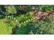 Aerial view of backyard featuring stepping stone path and lush, manicured landscaping at 2628 Rivers Nw Rd, Atlanta, GA 30305