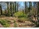 Spacious backyard with walking path and greenery at 520 Willeo Rd, Roswell, GA 30075
