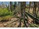 View of the backyard, showing stone and wood pathways at 520 Willeo Rd, Roswell, GA 30075
