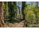 A small, light-green shed in the backyard at 520 Willeo Rd, Roswell, GA 30075