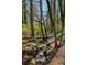 Small stream flowing through a wooded area of the backyard at 520 Willeo Rd, Roswell, GA 30075