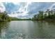 Scenic view of a calm lake surrounded by lush green trees and a cloudy blue sky reflecting on the water at 722 Laurel Canyon Pkwy, Canton, GA 30114