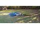 Lush backyard with four large container gardens under dappled sunlight at 8219 Canyon Forge Dr, Riverdale, GA 30274