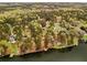 Aerial view showcasing lakeside properties, including this neighborhood with dock access and mature trees at 315 Monroe Dr, Mcdonough, GA 30252