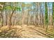 View of the wooded land with lots of trees and dappled sunlight at 730 Ponderosa Ct, Fayetteville, GA 30214