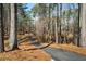 View of the driveway leading through a wooded area covered in pine straw on a sunny day at 1064 Brooks Rackley Rd, Dallas, GA 30157