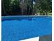 Above ground pool with crystal clear water, surrounded by lush greenery at 21 Enclave Walk, Powder Springs, GA 30127