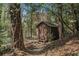 Wooden shed nestled among the trees, offering additional storage space and a rustic charm at 2992 Westminster Nw Cir, Atlanta, GA 30327