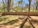 Fenced back yard with mature trees offering shade at 120 Madison Grace Ave, Mcdonough, GA 30252
