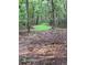A serene clearing in a wooded area with lush green grass, creating a peaceful and natural setting at 302 Vinson Mountain Loop, Rockmart, GA 30153