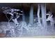 Three deer are captured by game camera at night, in wooded setting at 302 Vinson Mountain Loop, Rockmart, GA 30153
