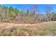 Secluded vacant land ready for development with natural vegetation and surrounding mature trees at 302 Vinson Mountain Loop, Rockmart, GA 30153