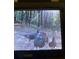 A group of wild turkeys are captured by game camera foraging in a wooded setting at 302 Vinson Mountain Loop, Rockmart, GA 30153
