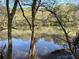 Scenic view of the pond surrounded by lush trees and natural landscapes at 2306 Queen Anne Ct, Atlanta, GA 30350