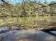 Scenic view of the pond surrounded by lush trees and natural landscapes at 2306 Queen Anne Ct, Atlanta, GA 30350