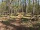 Picturesque walking trail surrounded by lush trees and natural landscapes at 2306 Queen Anne Ct, Atlanta, GA 30350