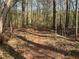 Picturesque walking trail surrounded by lush trees and natural landscapes at 2306 Queen Anne Ct, Atlanta, GA 30350