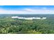 Scenic aerial view featuring a tranquil lake surrounded by verdant trees, offering a serene and picturesque landscape at 8166 N Pine Cone Dr, Villa Rica, GA 30180