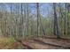 View of the peaceful wooded area with mature trees on the home property, perfect for nature lovers at 241 Rose Ridge Dr, Canton, GA 30115