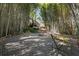 Private backyard with a hammock, fire pit, and towering bamboo surrounding the space at 2683 Fleur De Lis Pl, Atlanta, GA 30360