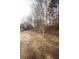 Grassy backyard shaded by a large tree, blending with a natural landscape at 3936 Toccoa Falls Dr, Duluth, GA 30097