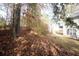 Backyard showing mature trees with a covering of leaves, perfect for privacy in autumn at 3936 Toccoa Falls Dr, Duluth, GA 30097
