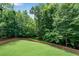 Expansive backyard featuring lush green lawn and mature trees, perfect for outdoor activities at 244 Cedar Ridge Way, Dallas, GA 30157