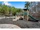 Community playground with slide and climbing area surrounded by trees at 244 Cedar Ridge Way, Dallas, GA 30157