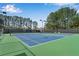 Community tennis courts with lush green surroundings and lighting for evening play at 244 Cedar Ridge Way, Dallas, GA 30157
