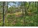 Backyard view featuring dense trees and green foliage at 1550 Pine Creek Way, Woodstock, GA 30188