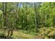 Lush backyard featuring dense trees and natural foliage at 1550 Pine Creek Way, Woodstock, GA 30188