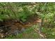 A small creek flows through a heavily wooded property at 1550 Pine Creek Way, Woodstock, GA 30188