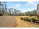 View of backyard with grass and trees at 2020 Rivermont Way, Roswell, GA 30076