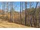 Large, grassy yard with a backdrop of tall trees, creating a serene and private outdoor space at 4870 Odum View Ln, Cumming, GA 30040