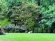 Large grassy yard at 710 E Northway Ln, Atlanta, GA 30342