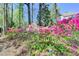 Landscaping features a variety of colorful azaleas and other plants surrounding the property at 865 Mount Katahdin Trl, Johns Creek, GA 30022