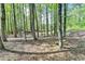 View of the wooded backyard in this neighborhood, offering privacy and a natural setting at 955 Bishopswood Pl, Johns Creek, GA 30022
